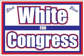 Custom Yard Sign for Congressional Campaign